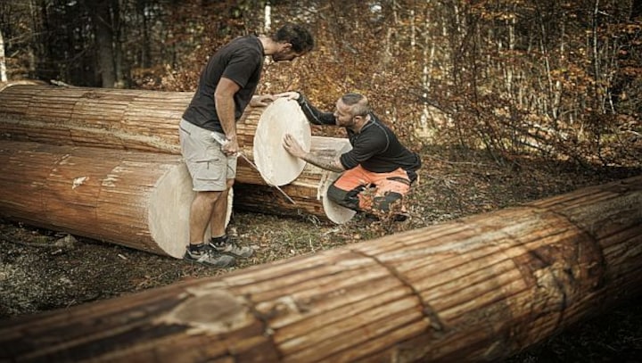The Sound of Music: How climate change threatens quality of acoustic guitars, violins and other string instruments