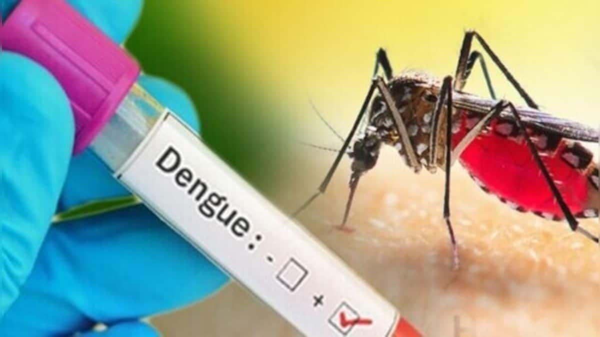 From Papaya to Pomegranates; what to eat and avoid while battling dengue fever