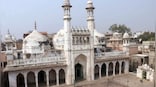 Court rejects Gyanvapi mosque management committee's plea to stop ASI survey