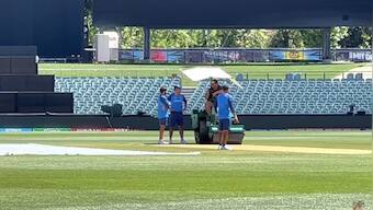 Watch: Rohit Sharma, Rahul Dravid assess Adelaide Oval pitch ahead of India vs England semis