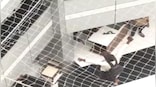 Watch: Man jumps from sixth floor of Mumbai’s Mantralaya building, lands on safety net