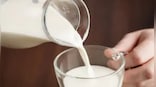 World Milk Day 2022: 5 healthy recipes you can try on this occasion