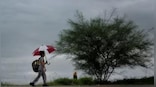 Weather Report: North East monsoon is active in South; Central and East India enjoy another dry, clear week