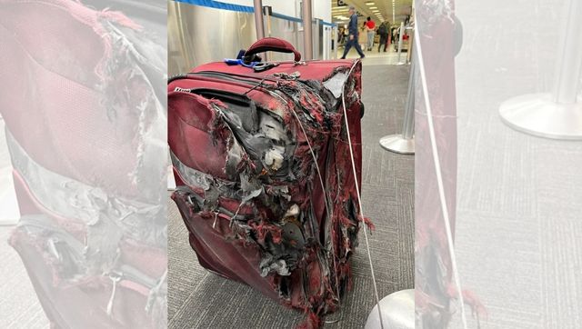 'Throwing it off would be in better shape': Photo of destroyed luggage after flight gets hilarious reactions 'Throwing it off would be in better shape': Photo of destroyed luggage after flight gets hilarious reactions