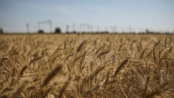 Food security, fuel, fertiliser supply issues likely to get worse with suspension of Black Sea Grain initiative: India