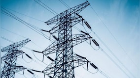 Torrent Power aims to buy 1.1 GW of clean energy projects from RenNew: Report