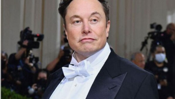 "You get what you pay for:" Elon Musk on Twitter 'blue tick' criticism