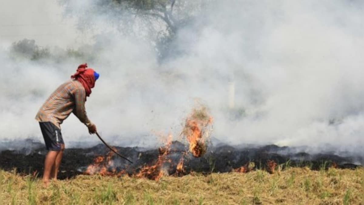 National Human Rights Commission takes detailed report from Punjab chief secretary on farm fires