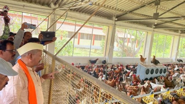 Karnataka: Govt exempts use of agricultural land for poultry farming Karnataka: Govt exempts use of agricultural land for poultry farming