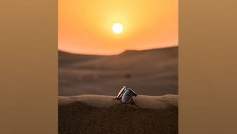 Europe records 15,000 deaths due to hot weather in 2022, says World Health Organisation