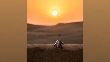 Europe records 15,000 deaths due to hot weather in 2022, says World Health Organisation