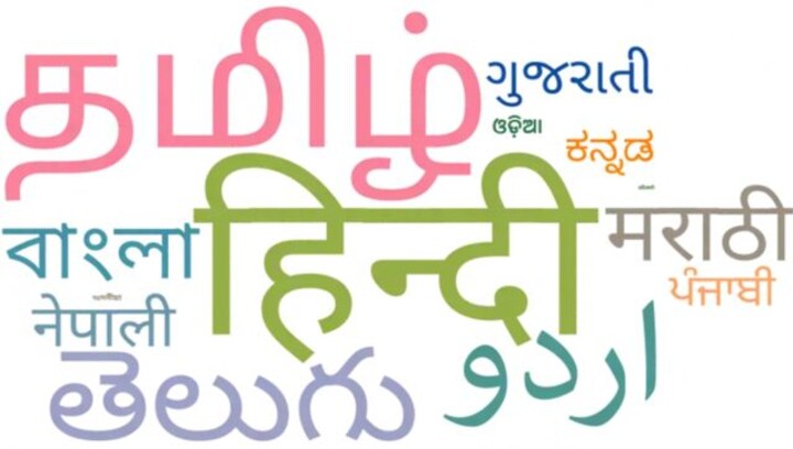 Explained: What is the Mother Tongue Survey of India and why is it significant?