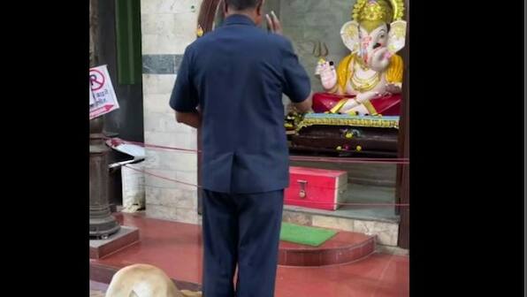 Watch: Dog bows down, prays at Lord Ganesha temple in viral video