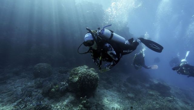 Scientists try to bolster Great Barrier Reef in warmer world Scientists try to bolster Great Barrier Reef in warmer world