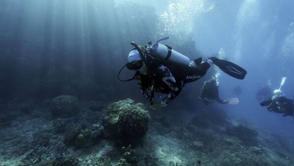 Scientists try to bolster Great Barrier Reef in warmer world
