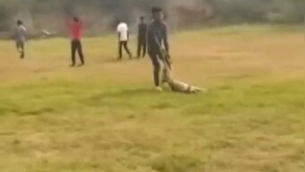 Pregnant dog beaten to death by mob of students in Delhi,video goes viral