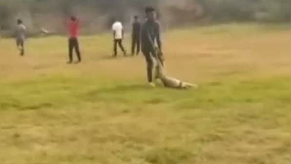 Pregnant dog beaten to death by mob of students in Delhi,video goes viral