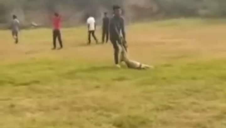 Pregnant dog beaten to death by mob of students in Delhi,video goes viral