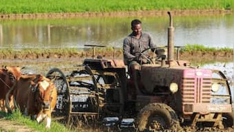 SBI Agri gold loan for farmers: Check eligibility details, interest rate and more