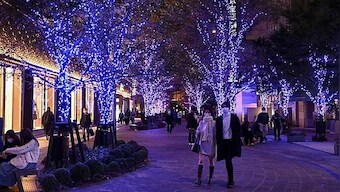 Warm biz: Why Japan's Tokyo is asking residents to wear turtlenecks