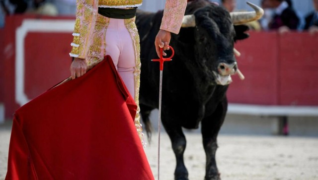 Showing the door to matadors: France MPs debate imposing ban on bullfighting Showing the door to matadors: France MPs debate imposing ban on bullfighting