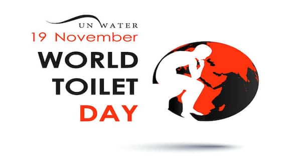 World Toilet Day 2022: History, significance and this year's theme