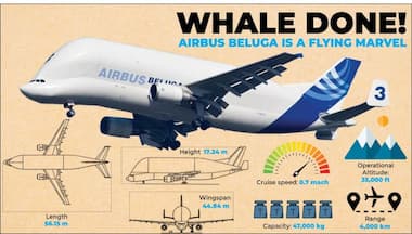 Inside Airbus Beluga, the world’s largest aircraft, which has landed in Mumbai
