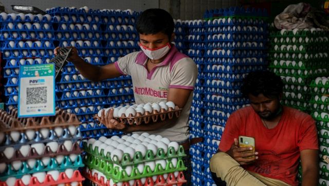 Ande Ka Funda: Why Qatar is buying more eggs from Tamil Nadu this World Cup Ande Ka Funda: Why Qatar is buying more eggs from Tamil Nadu this World Cup
