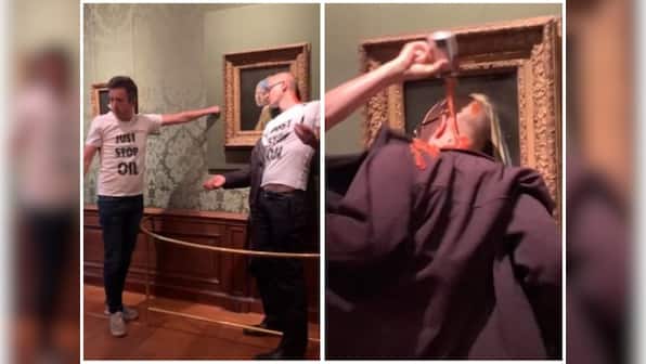 Climate activists arrested for vandalizing 'Girl with a pearl earring' painting
