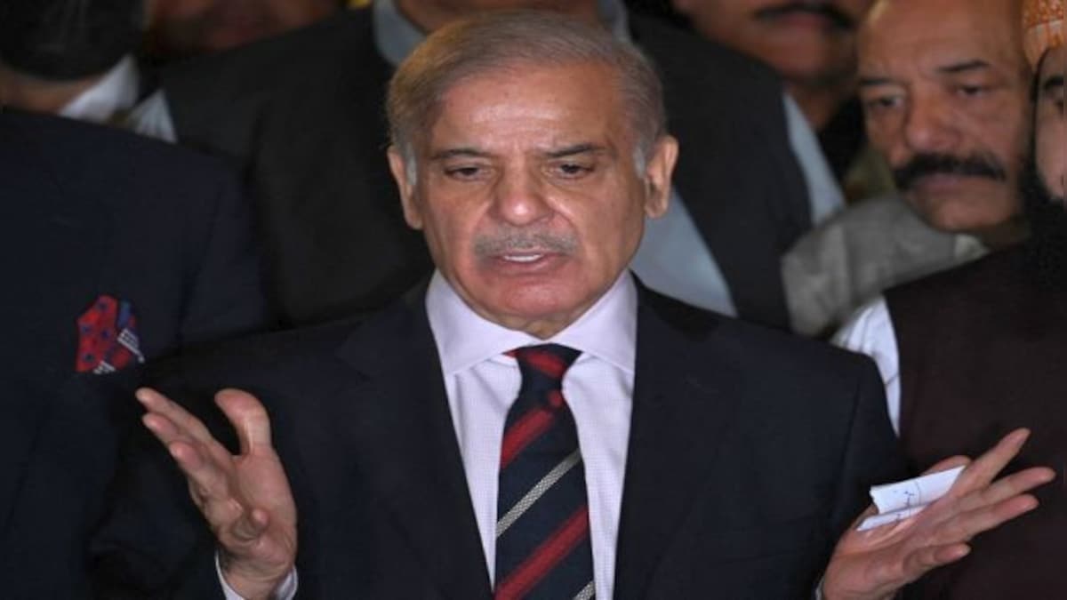 Pakistan ready to play active part for revival of SAARC, says PM Shehbaz Sharif