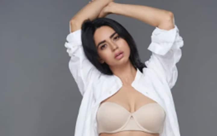Bigg Boss 16 contestant Soundarya Sharma's ravishing pictures create a buzz on the internet