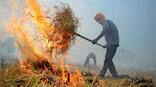 Stubble burning: Punjab logs 50% drop in farm fires so far