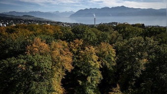 Why Switzerland paying poor nations to cut emissions is ‘dangerous’