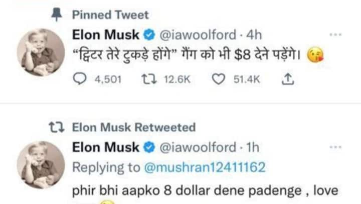 American-Australian prof’s handle displaying Musk’s name spooks Twitterati, sends out tweets in Hindi