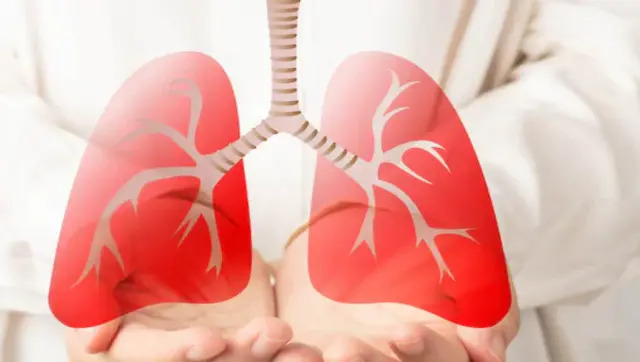 World Pneumonia Day: History, significance and key facts about disease World Pneumonia Day: History, significance and key facts about disease