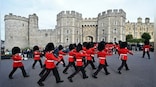 Explained: Why PETA is suing UK military over Royal Guards’ 'fake' bearskin hats