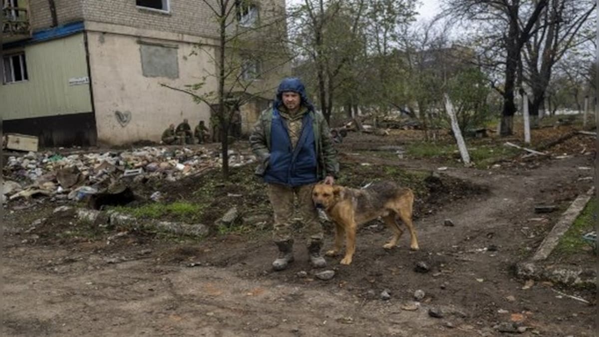 Is Russia planning to use homeless dogs as suicide bombers?