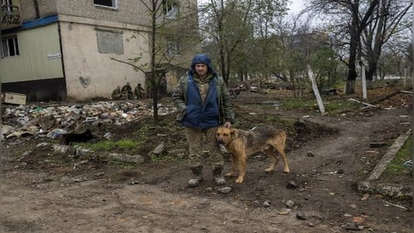 Is Russia planning to use homeless dogs as suicide bombers?