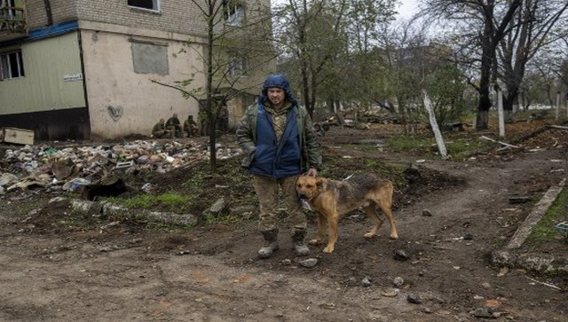 Is Russia planning to use homeless dogs as suicide bombers? Is Russia planning to use homeless dogs as suicide bombers?