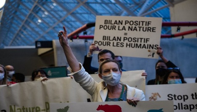 UN opens high-stake biodiversity talks in Montreal to work on ‘new deal for nature’ UN opens high-stake biodiversity talks in Montreal to work on ‘new deal for nature’