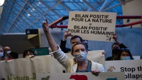 UN opens high-stake biodiversity talks in Montreal to work on ‘new deal for nature’
