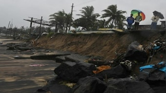 Uprooted trees, waterlogged roads, cancelled flights: How Cyclone Mandous is wreaking havoc in Tamil Nadu