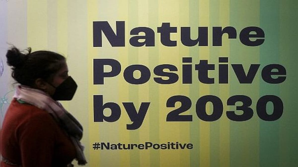 Explained: COP15's nature-pact goal to protect 30% of Earth