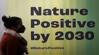 Explained: COP15's nature-pact goal to protect 30% of Earth