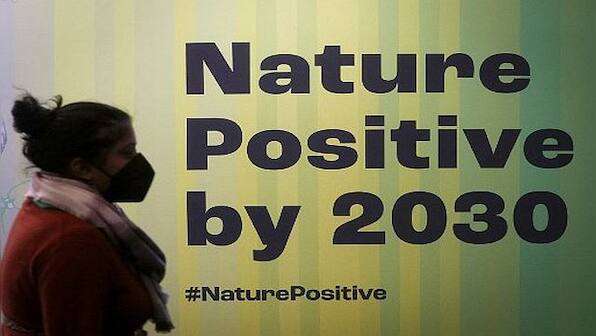 Explained: COP15's nature-pact goal to protect 30% of Earth