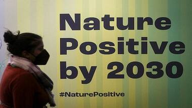 Explained: COP15's nature-pact goal to protect 30% of Earth