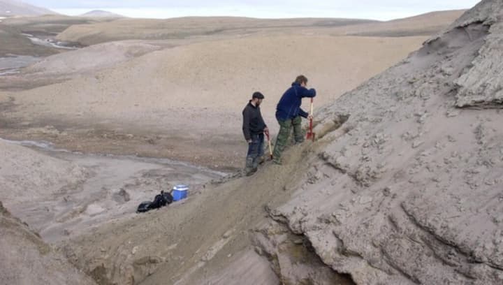 Oldest ever DNA found in Greenland sheds light on old ecosystem