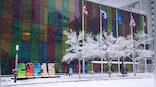 SWOT analysis of COP15: How effective was the UN biodiversity conference in Montreal