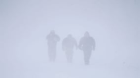 Explained: How the Buffalo blizzard turned deadly, killing over 40 people