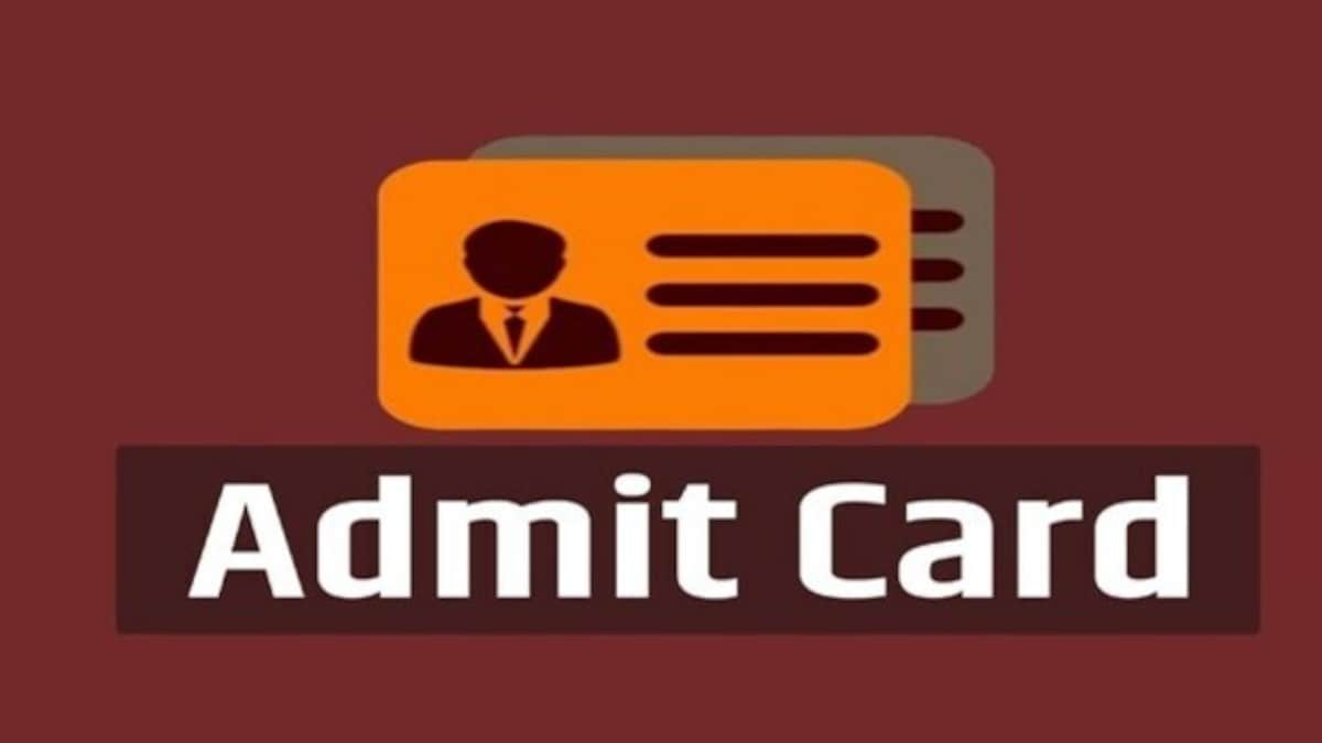 CTET 2022: Admit card for 29 December out, check steps to download hall ticket